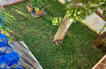 Villa del Limone , Mondello Via deucalione 18 ,via Miseno 18 - Photo 28