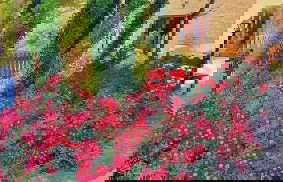 Agriturismo il Pioppeto - Foto 71