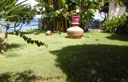 Alkioni Studios - Foto 69