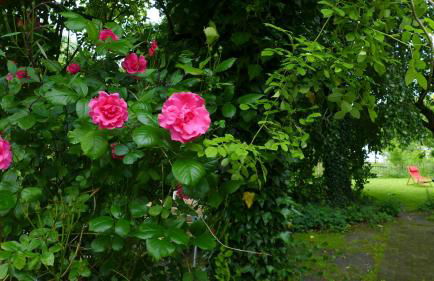 Haus Käthe am Deich - Foto 22