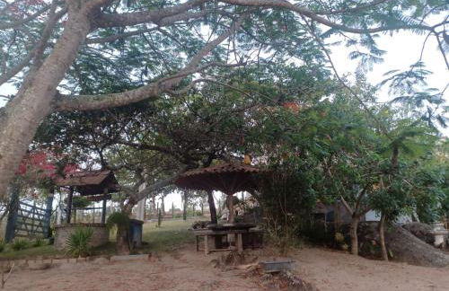 Sitio Esquina da Serra - Foto 37