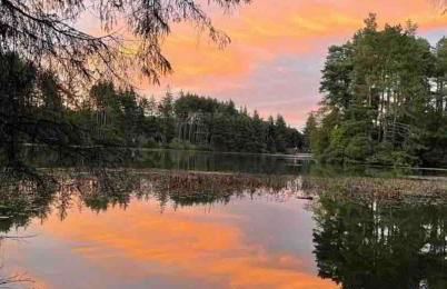 Linlithgow cottage close to Edinburgh - Foto 32