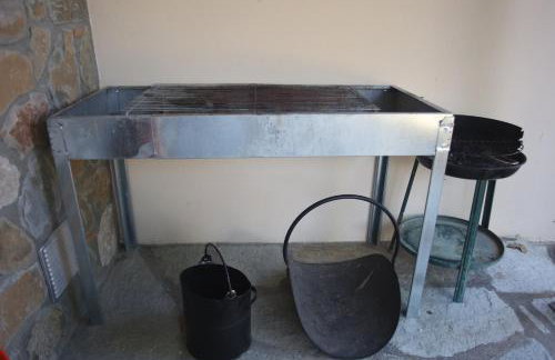 Boletus MushROOM - Foto 18