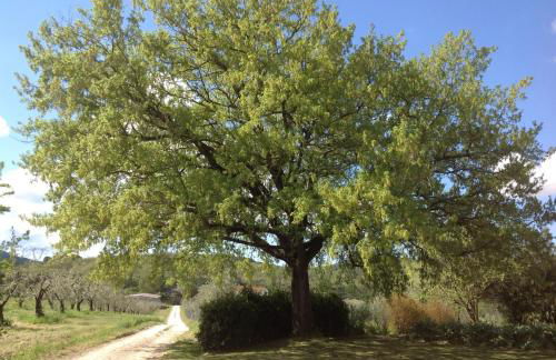 Casa Vacanze Valdicciola - Foto 32