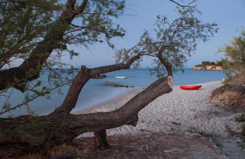 Gaia Beach House - Foto 32