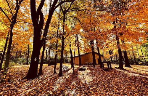 Serene Log Cabin Forest Retreat - Photo 28