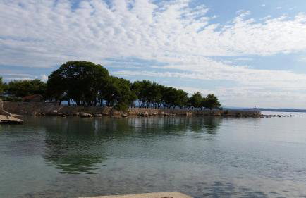 Apartment Sajković - Foto 11