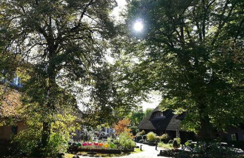 GH Superior Studio II-VI 12 - Foto 8