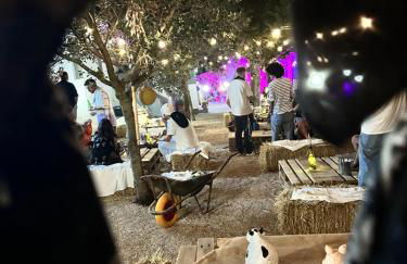 Villa Ninetta - Foto 15