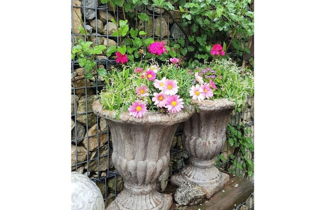 Frankenwaldhaus Comfortable Holiday Residence - Foto 28