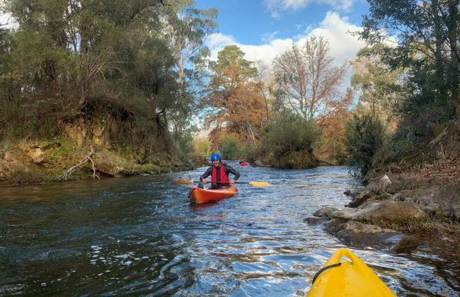 Discovery Parks - Mount Buffalo - Photo 61