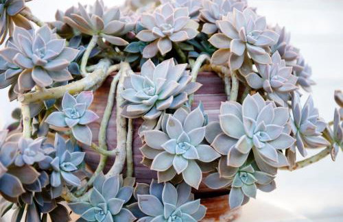 Georgio Seaside Hotel - Foto 33