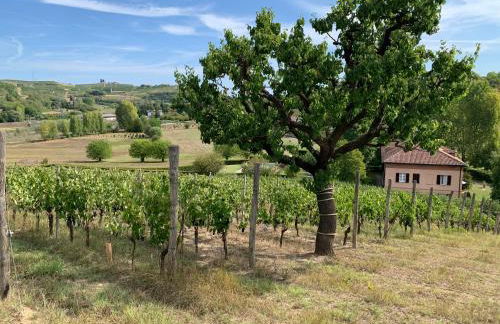 Casa villetta "La Colomba" Nizza Monferrato - Foto 39