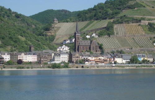 Weingut Theodor Nies - Foto 8