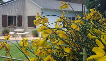 Villa Aurelia - Casa de campo con jardín y piscina entre Madrid y Segovia - Foto 4, Garden