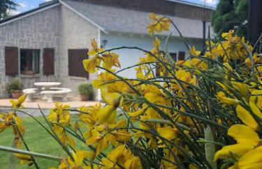 Villa Aurelia - Casa de campo con jardín y piscina entre Madrid y Segovia - Photo 32