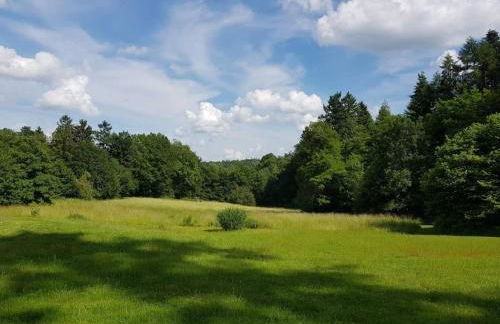 Gästehaus Cube am Forsthaus - Foto 17