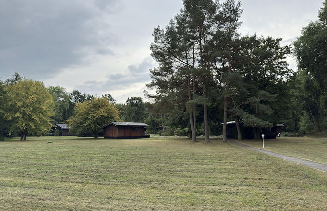 Ferienhaus in Eschede - Foto 33