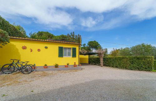 Marina VIP - Foto 79