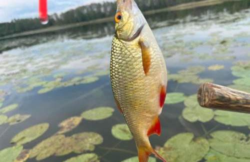 Nini House Giże - Foto 32