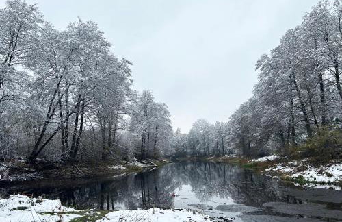 Masuria Warsaw - dom na wyłączność - w lesie i przy rzece - 15 min od Warszawy - Foto 79