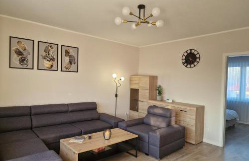 Apartament w Czarnowąsach 2 - Foto 2