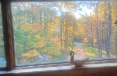 Bill's Place In Vermont - Foto 35
