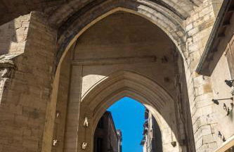 GITE LA CÔTE de GRAVES - Photo 70