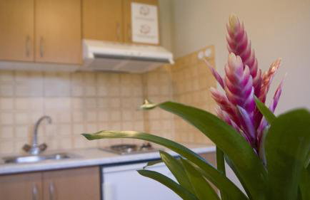 Fani Hotel - Foto 30