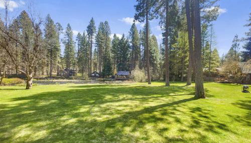 Metolius Cabin 10 - Foto 5