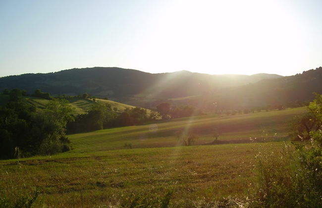 Getaway Amidst Vineyards - Foto 38