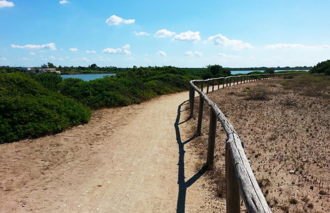 I Monaci Front Beach Specchiarica - Photo 21