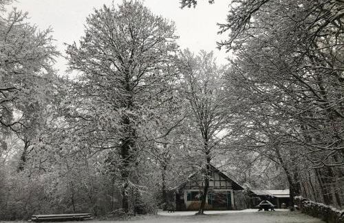 Haus am Wald - Foto 39