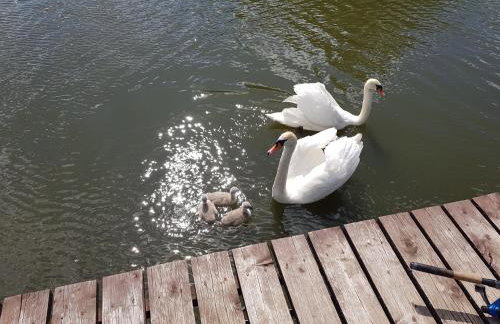 DOMEK W JERSEY PRZY PLAŻY - Foto 16