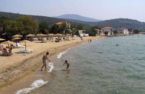 Panos Studios - Foto 36