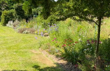 Barnacle Barn, North Norfolk - Foto 46