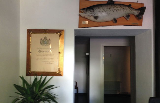 Mörrum River - Foto 1