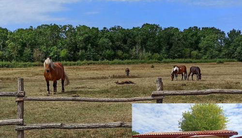 eco nature, gite à la ferme - Foto 2