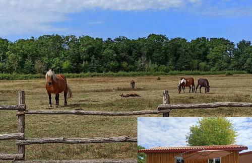 eco nature, gite à la ferme - Foto 2