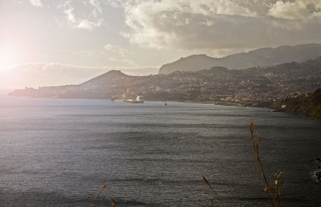 Garajau I by An Island Apart - Foto 24