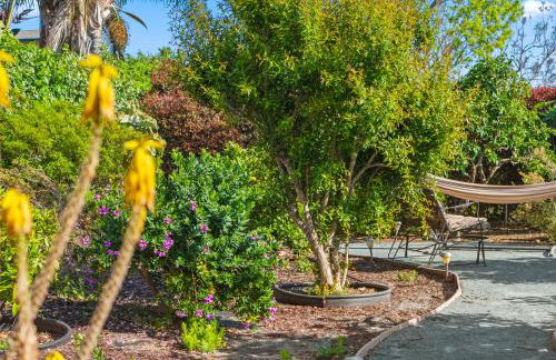 Bay Park Garden Paradise - central Location, AC, Washer Dryer & Private yard! - Foto 33