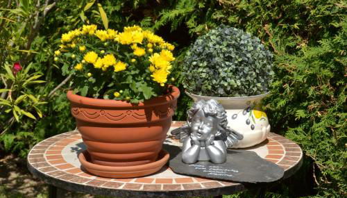 Ferienwohnung Heinen - Foto 4, Garden view