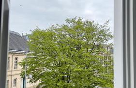 Gemütliche Maisonettewohnung mit Dachterrasse am Schloß - Photo 51