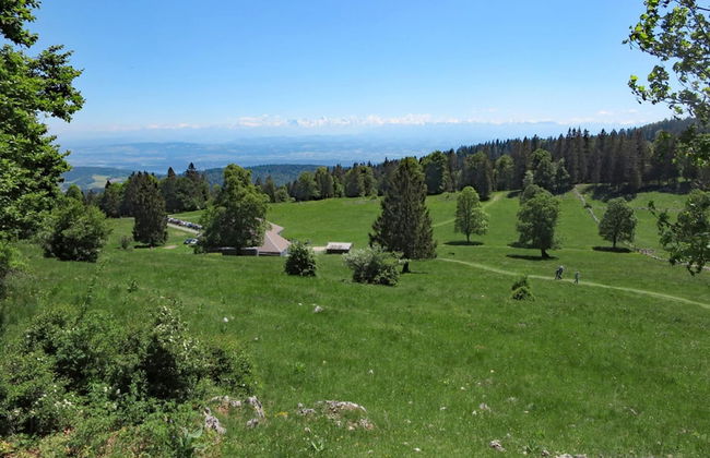 Apartment With Swimming Pool - Foto 22