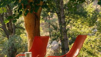 El Molí Nou - Rural flats - Foto 3, Garden view