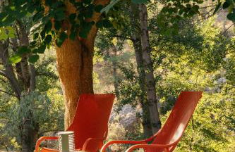 El Molí Nou - Rural flats - Foto 3