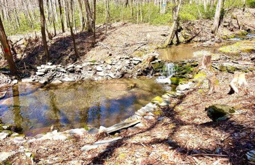 Log Cabin at the Goat Sanctuary - Foto 75