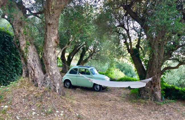 Agriturismo Don Cesarino - Photo 46