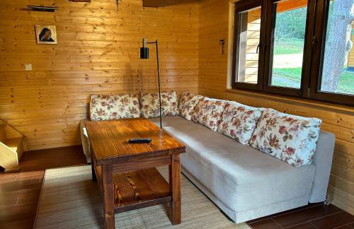 Reset Bieszczady - Foto 12