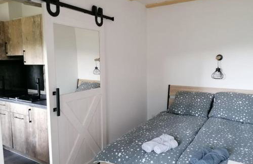 Domek Zielony Widok - noclegi Bieszczady - Foto 45